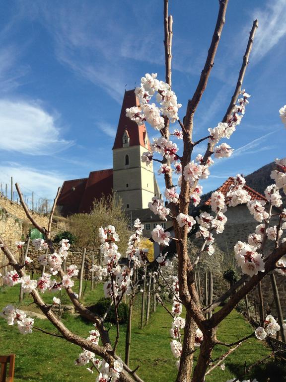Gaestehaus Haiminger Ehemalig Schmelz Weissenkirchen in der Wachau Luaran gambar