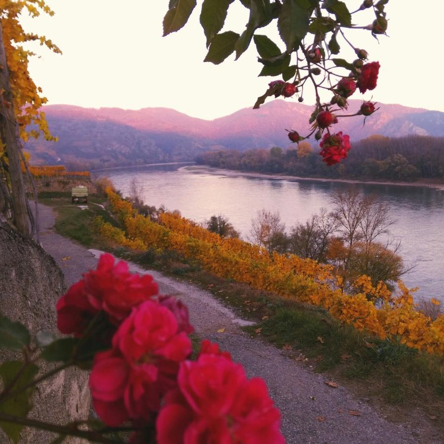 Gaestehaus Haiminger Ehemalig Schmelz Weissenkirchen in der Wachau Luaran gambar
